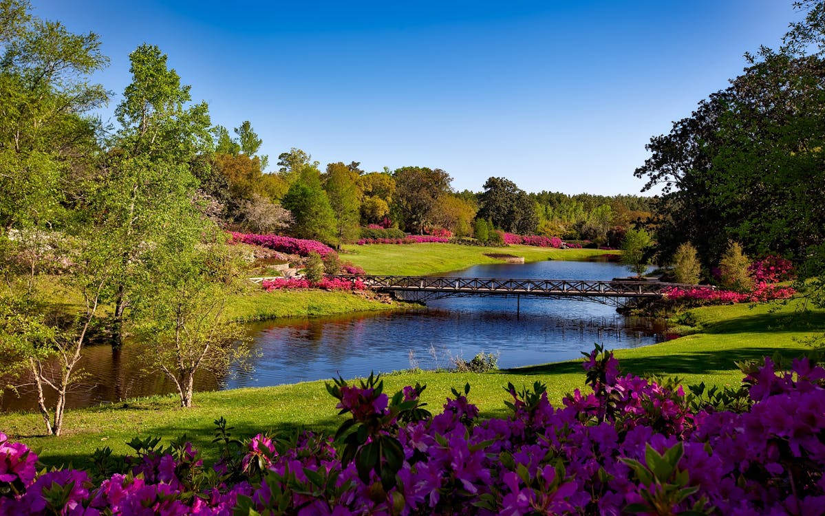 Huntingdale